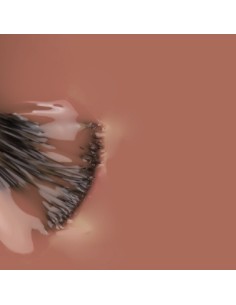 Brownie Natura_ Marron Macadamia 15ml 2