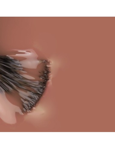 Brownie Natura_ Marron Macadamia 15ml