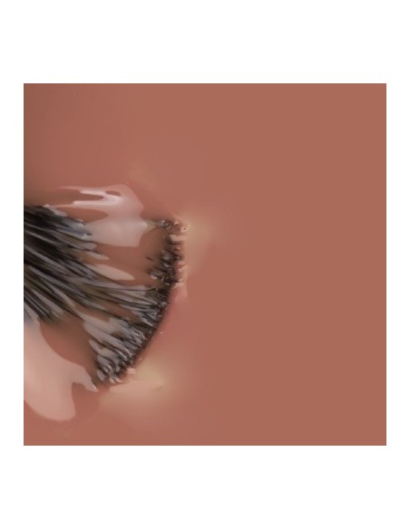 Brownie Natura_ Marron Macadamia 15ml