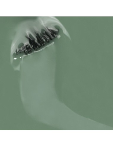 Bosque Encantado_Verde Salvia 15ml