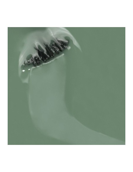 Bosque Encantado_Verde Salvia 15ml