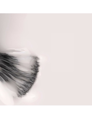 Quem Nunca Jogou Ao Quarto Escuro 15ml