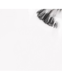 Sim Aceito_Blanco Lechoso Intenso 15ml 2