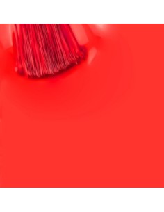 Coral Hip Hop_Coral Hip Hop 15ml 2