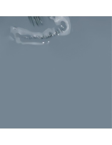 Maria Meia Leca_Gris Aluminio15ml