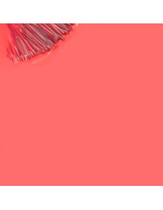 Maria Carapau_Naranja Coral 15ml 2