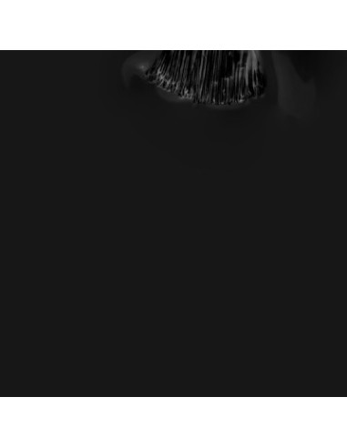 Principezinho_Negro Pure 15ml