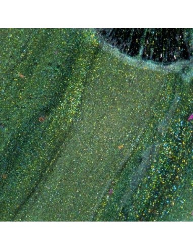 Esmeralda_Verde Turquesa Negro 15ml