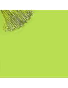 Maria Calipo_Verde Kiwi 15ml 2