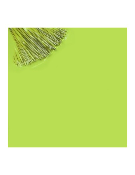 Maria Calipo_Verde Kiwi 15ml