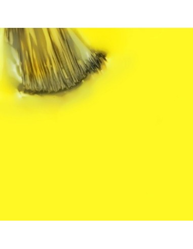 Maria Limonada_Amarillo Limon 15ml