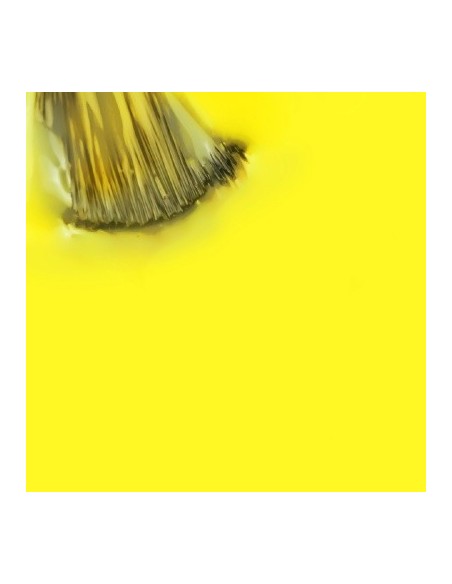 Maria Limonada_Amarillo Limon 15ml