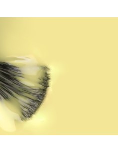 Girasol_Amarillo Pastel 15ml 2