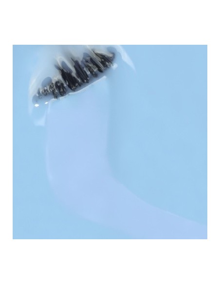 Hortensia_Azul  Pastel 15ml