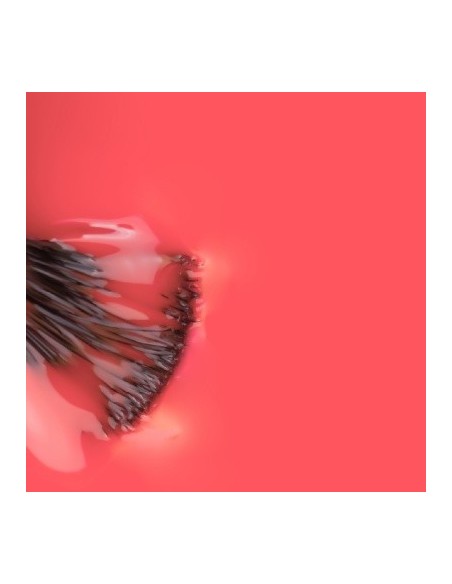 Sebastiao_ Naranja Vivo 15ml