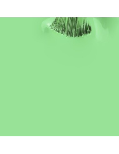 Maria Abacate_Verde Pastel Neon 15ml