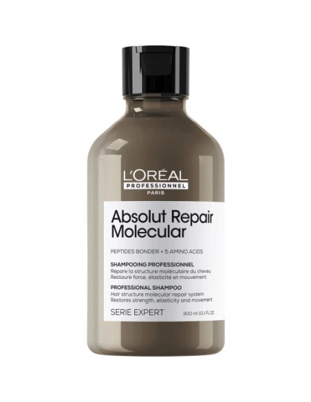 Champu Absolut Repair Molecular 300ml