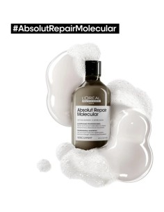 Champu Absolut Repair Molecular 300ml