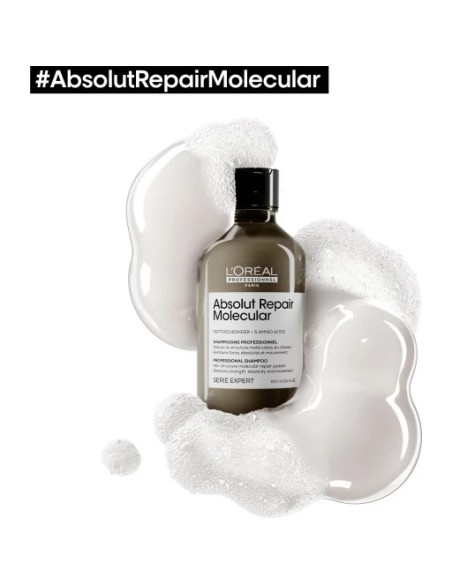 Champu Absolut Repair Molecular 300ml