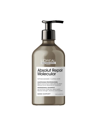 Champu Absolut Repair Molecular 500ml