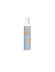 Mousse Hidrantante C. Secos y Crespos 200ml