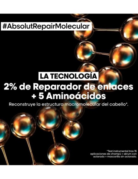 Champu Absolut Repair Molecular100ml.