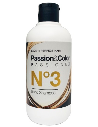 Champu Passion&Color Reparador-Protector 250ml.nº3