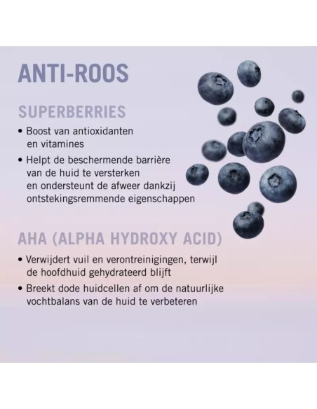 Champu Anticaspa BC 250 ml.