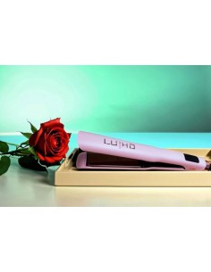 Plancha Gold Rousse LU HO 2