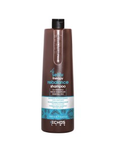 Champu Therapy Rebalance 1000ml.