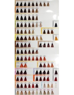 Tinte Echosline 4/72 Castaño chocolate - 100ml 2