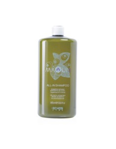 Champú Vegano All In cab.seco y tratado Maqui 975ml