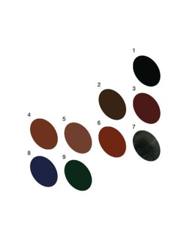 Carta Color Lapiz Dorleac automatico