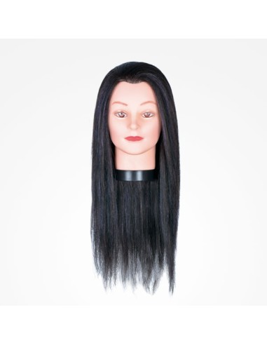 Cabeza cabello 55 - 60 cm 100% humano color negro + soporte